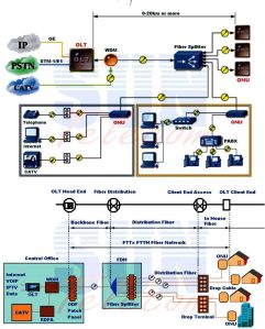 Triple Play Solutions