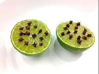 herbal mosquito repellent