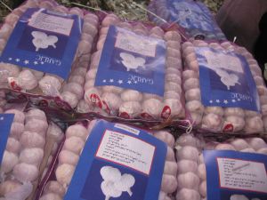 Garlic,  Number Of Flower : Vegetable