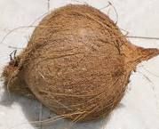 Mature Coconut