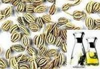 Carom Seeds Oil