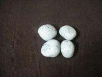 Kashmir White Pebble Stones
