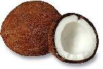 coconut