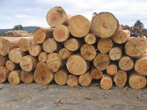 Timber (African Ebony)