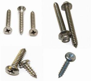 Self Tapping Screws