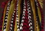 extension rooster feathers for sale in bulk