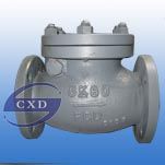 Check Valve
