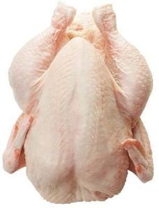 Frozen Whole Chicken,Halal Chicken