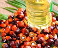 100 Pure Crude Palm Oil