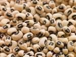 Black Eye Beans