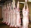 frozen goat meat