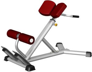 Multy Hyperextension Free Weight Gym Equipment