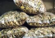 African Mango Extract-Flavone Irvingia Gabonensis(China (Mainland)) African Mango Extract-Flavone Irvingia Gabonensis