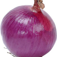indian fresh onion