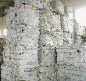 Waste White Paper