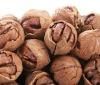 walnut kernel