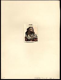 COLOR PLATE FROM NUREMBERG CHRONICLE 1493 INCUNABLE