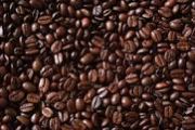 coffee beans,  Shelf Life : 1 Year