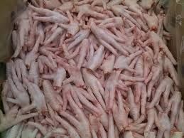 Frozen Chicken Feet and Paw