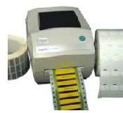 Ferrule Printing Machine