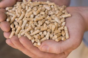 Pine Wood Pellets