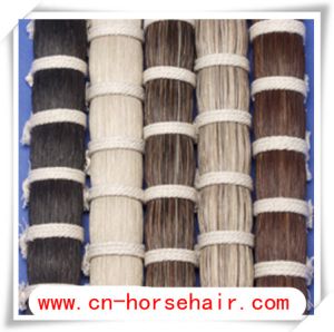 Horse Mane, Horse  Hair