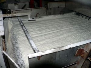 Food Grains & Cereals