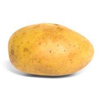 Fresh Indian Potato