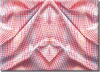 Flat Weave Fabric
