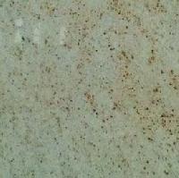 Colonial Gold Granite Stone