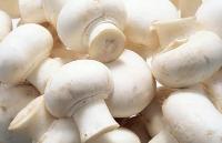 frozen treat mushrooms