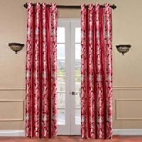 door curtain