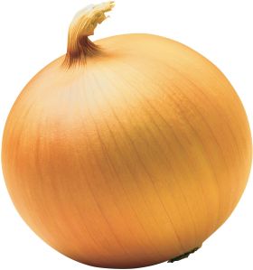 Onion