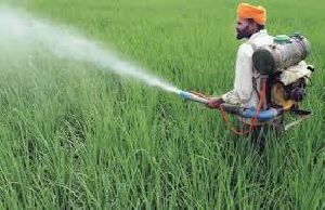 Bio Pesticide Spray