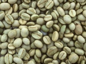 Coffee Arabica Robusta and Cocoa Beans