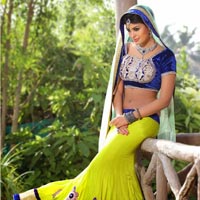 Indian Wedding Lehenga for Bride