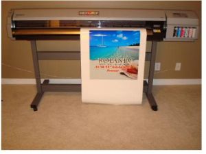 Roland Fj50 Ecosol Printer
