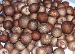 areca nut