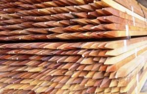 Hardwood Stakes