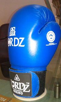 Competition Boxing Glove