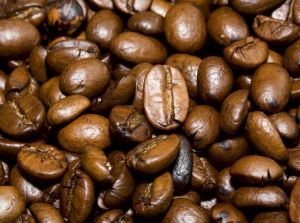 arabica coffee beans