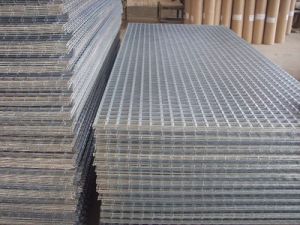 Welded Wire Mesh