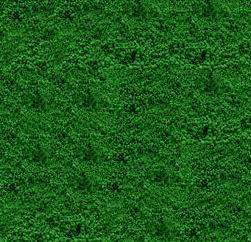 Chromium Oxide Green