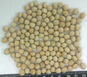 Peas