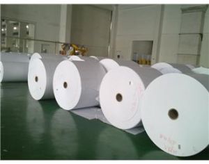Offset Paper High Quality, Packaging Type : white