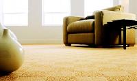 Textured Carpet