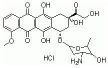 Doxorubicin Hydrochloride