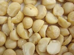 macadamia nut