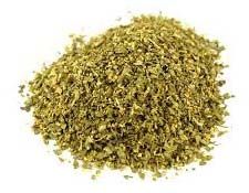 Mexican Oregano