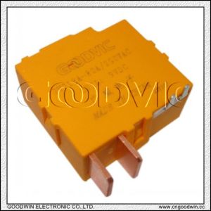 Magnetic Latching Relay (gw718a 60a/80a)